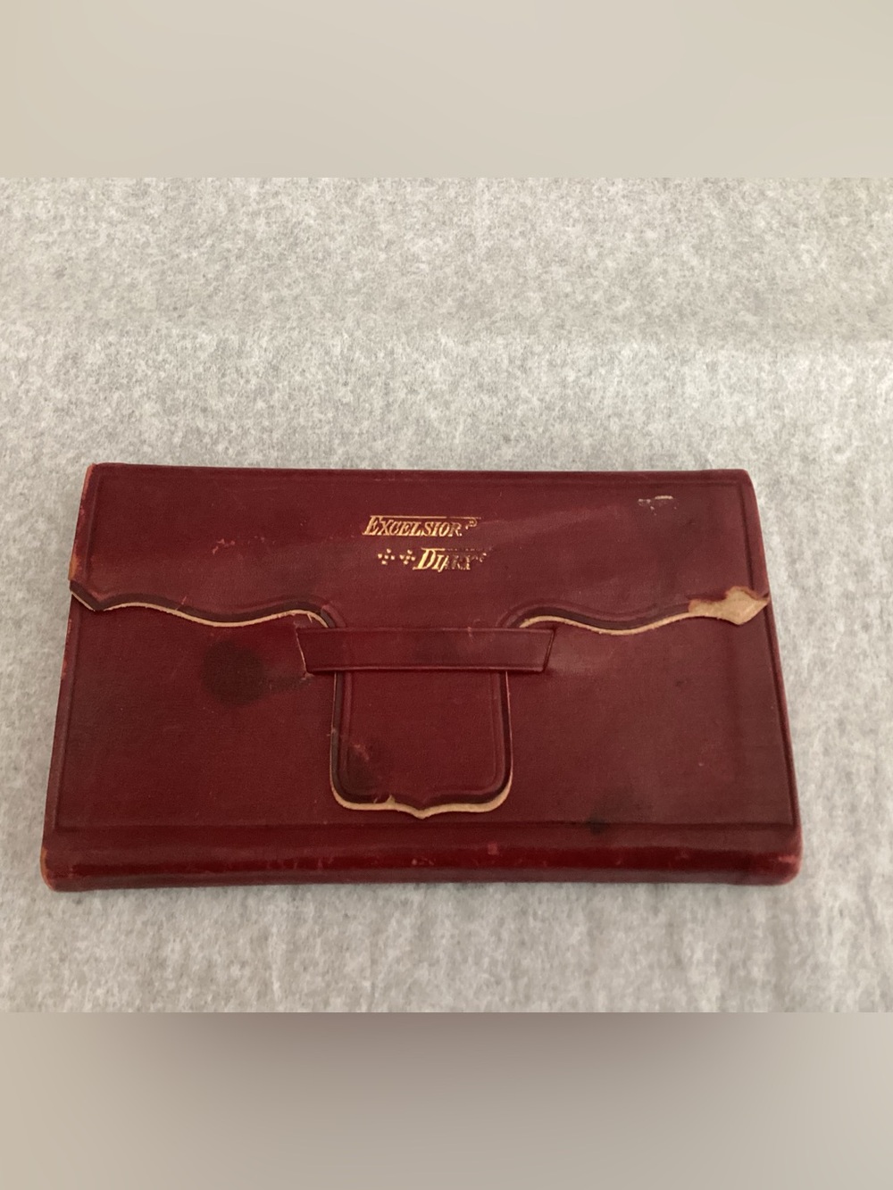 Antique Excelsior Diary 1901